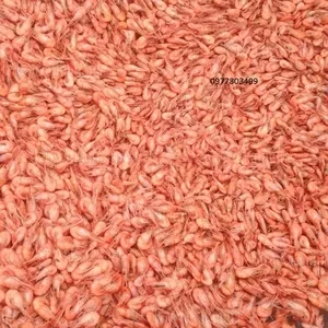 Креветка на корм для рыбок