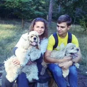 Услуги кинолога,  выгул,  передержка, 