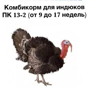 Комбікорм для індиків ПК 13-2 (від 9 до 17 тиж.)