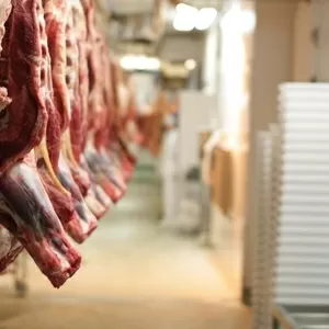 Продажа говядины и мясной продукции оптом. Заморозка и охлажденная