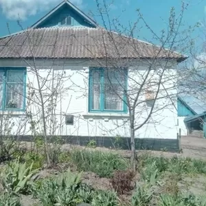Продам дом и 35 соток приватизированной земли. Срочно.