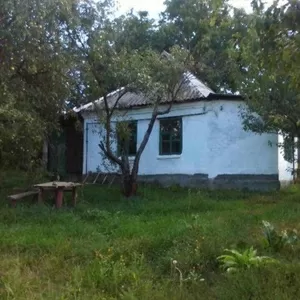 Продам домик в окрестности Полтавы. В живописном месте,  рядом пруд.