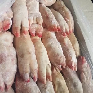ООО «Амтек Трейд» предлагает замороженные свиные субпродукты!
