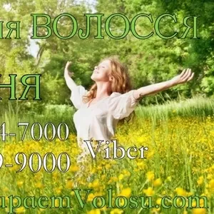 Продать волосы в Мариуполе дорого Скупка волос Мариуполь