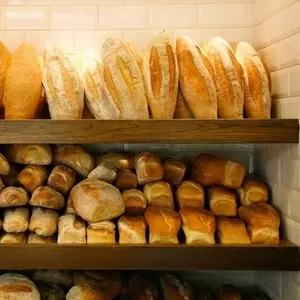 Работа в пекарне для женщин