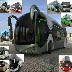 Аренда автобусов с водителем дети,  свадьбы,  туризм Полтава