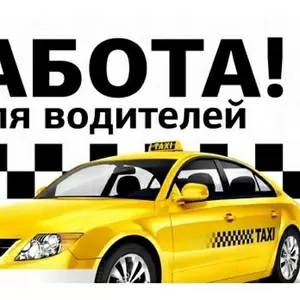 Водитель в такси в Киеве на элетрокар
