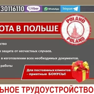 Свежие вакансии в Польше. Для мужчин и женщин. Отличные условия. 