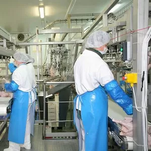 Работа в Польше на птицефабрике
