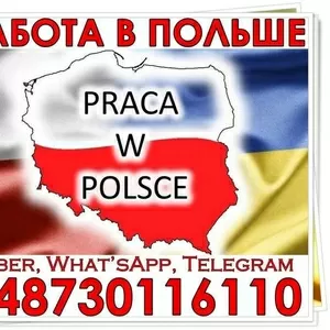 Для чоловіків і жінок,  роботa нa виробництвaх Польщі. Офіційно.
