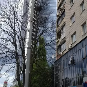 Продается 1-ая квартира,  Леси Украинки 3,  бул.,  