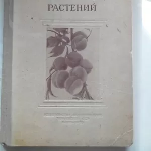 Акклиматизация растений.