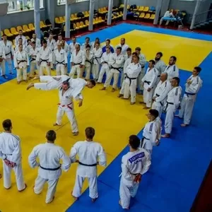 Дзюдо,  айкидо,  карате,  BJJ,  бокс для детей и взрослых!