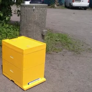 Улья многокорпусные (Дадан,  Рута,  Магазин)