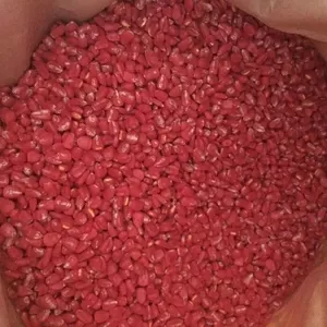 Семена кукурузы,  насіння кукурудзи ТАР-349
