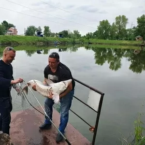 Незабываемый отдых в Киеве для всей семьи! 