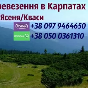 Трансфер в Карпати/таксі Карпати/автобус Буковель/Ворохта/Кваси