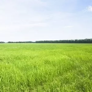 Продам земельный участок