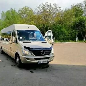 Автобуси на замовлення