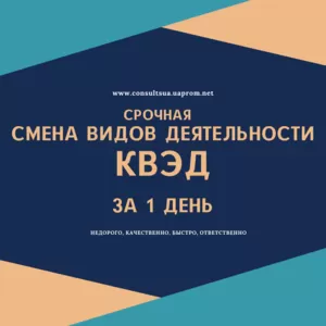 Смена КВЭД Днепр за 1 день.