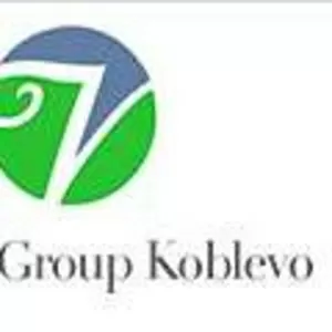 Valletta Group Koblevo