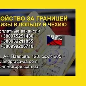 Високооплачувана робота в Польщі від агентства в Харкові