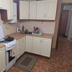 Здам 1-кімнатну квартиру, Центр.