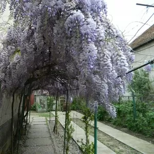 Продається двох поверховий будинок у смт. Батьово