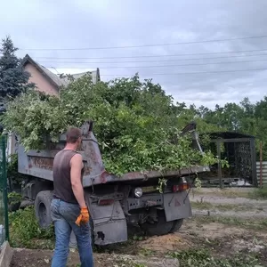 Вывоз листвы и веток. Донецк