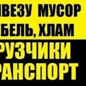 Вывоз,  вынос и погрузка мусора.