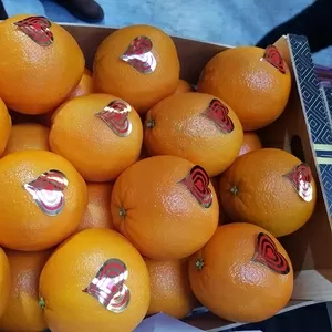 Предлагаем оптовые поставки свежих апельсинов