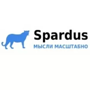 Продвижение сайтов в поисковых системах - Spardus