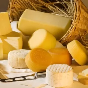 Куплю просроченный сыр,  сырный продукт,  неликвид,  не кондиция