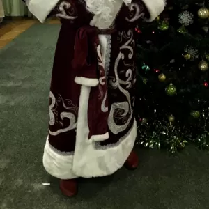 Дед Мороз на дом Киев