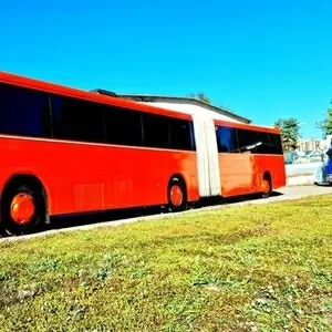 Автобус Party Bus Miami VIP прокат