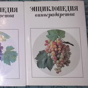 Куплю Энциклопедию виноградарства. 3 тома (в суперах)