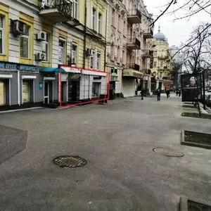 Аренда помещения ул. Богдана Хмельницкого,  Киев.