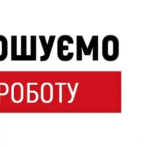 Збірники грибів (печериць)