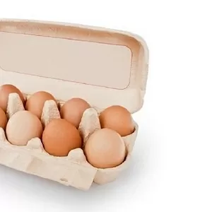 Яйця курячі різних категорій купити Дніпро