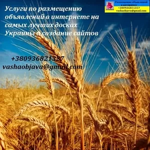 Розміщення оголошень на Топ дошках України +бонус