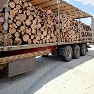 Колотые дрова с доставкой по Одессе и области. 