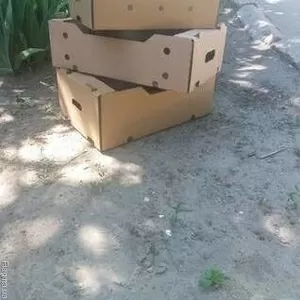 Виноградный гофроящик.Такртонный ящик под виноград 