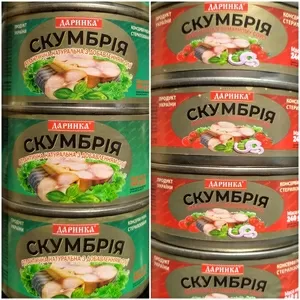 Консерва Скумбрія,  гурт (оптом)