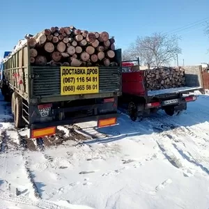 Доставка дров метровок и торфяных брикетов. 
