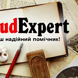 Купити розділ бакалаврської роботи в Україні