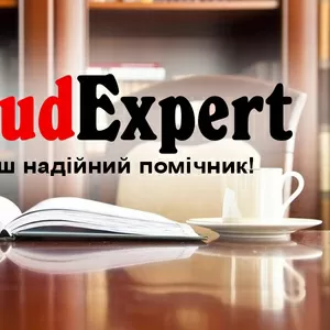 Купити розділ дипломної роботи в Україні