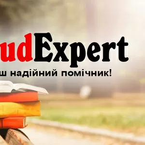 Купити розділ ВКР в Україні