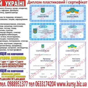 Курси бухгалтер,  перукар,  манікюр,  зварник,  електрик,  кухар,  слюсар