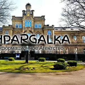 Литературный обзор для магистерской работы на заказ в Украине