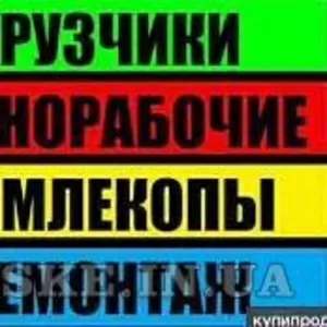 Выполним услуги уборки территорий,  уборка участка,  спил Одесса 